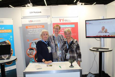 HeiM at the Researcher's Night in Iceland