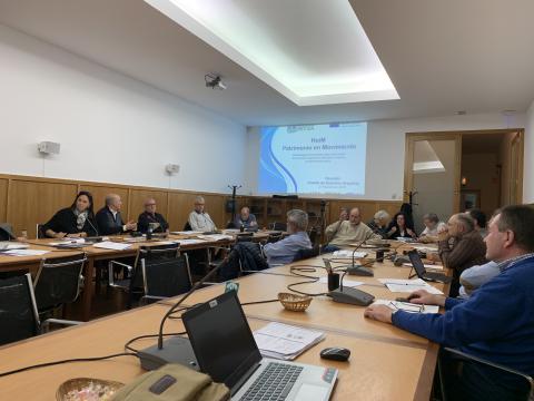 HeiM Meeting in Alicante - First Day - Experts Panel